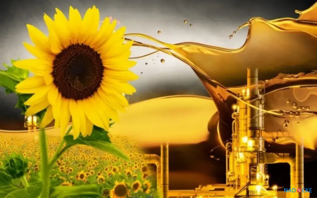 Масло подсолнечное рафинированное дезодорированное