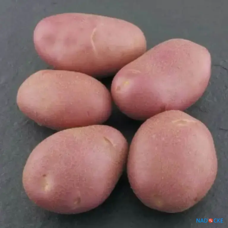 Оптовые поставки 3 красных сортов картофеля из Алтайского края во Владивостоке