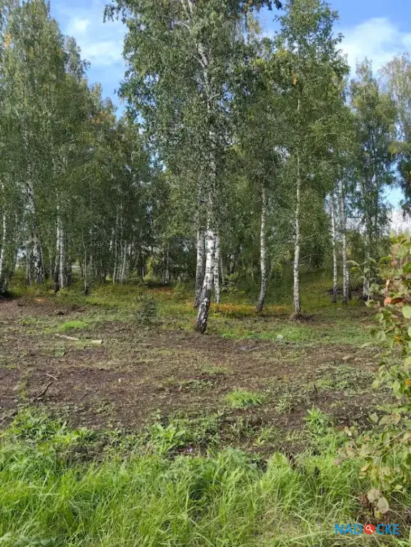 Производственная База 1,1 Га