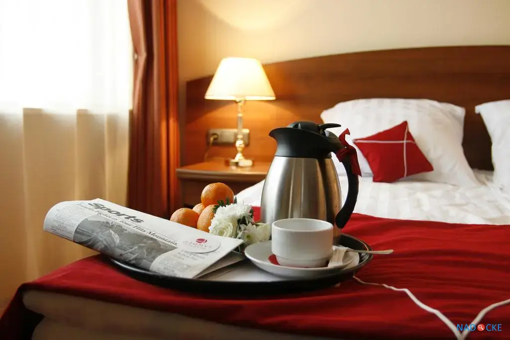 Гостиничные чеки и отчетные документы. Пенза