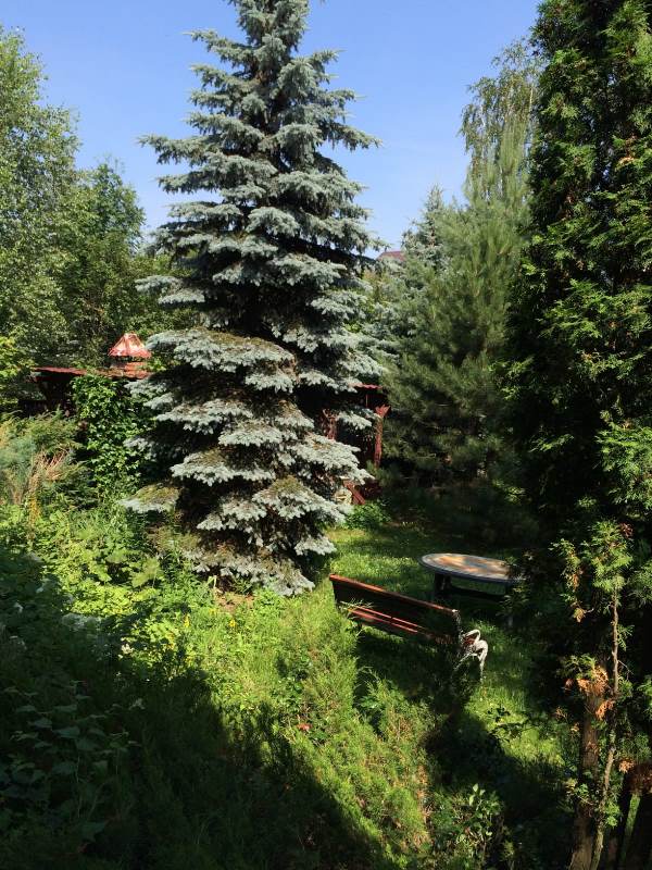 Продается дом в пос. Образцово