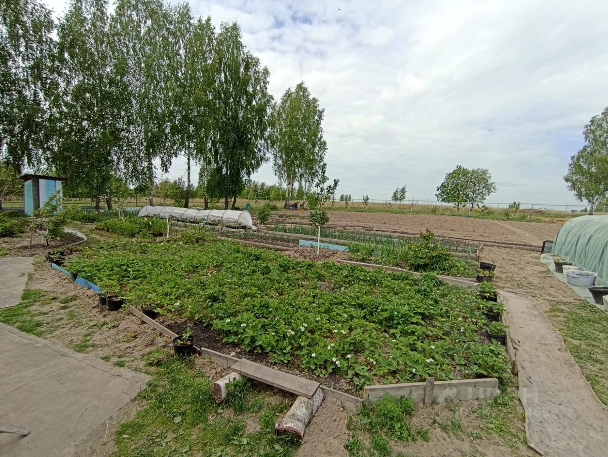 Дом в Брянская область, Навлинское городское поселение, пос. Красный Курган  (84.0 м²)