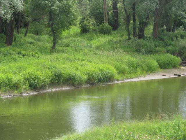 Продается дом в д. Лазарево