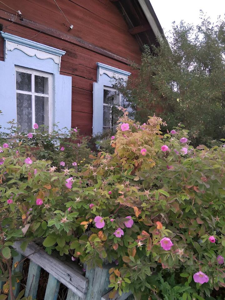 Дом в Бурятия, Кабанский район, с. Красный Яр ул. Братьев Карачевых (25.8 м²)