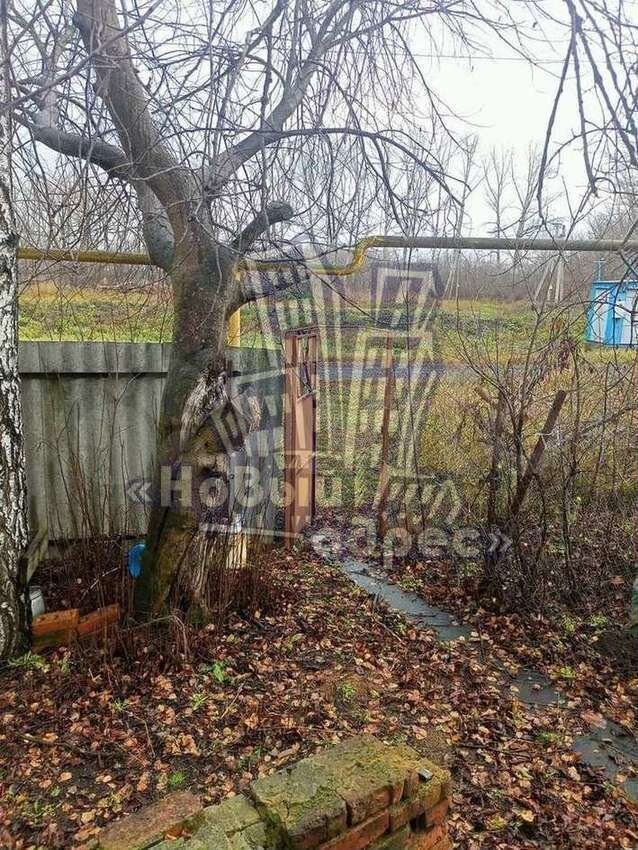 Дом 39,6 м² на участке 40 сот.