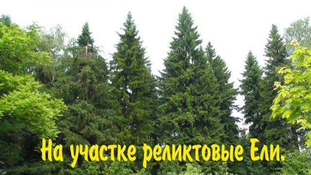 Продается дом в пос. Трудовая Северная